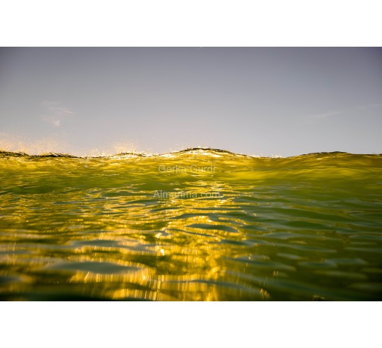 Surfing photo - "green wave" by Gorka...