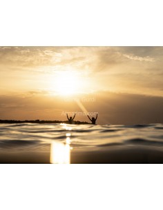 Surf Photo - "Sunset II" by...